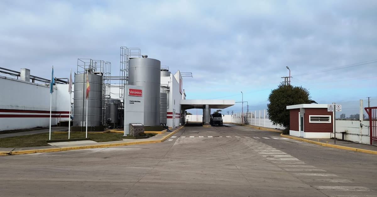 Verónica vende dos plantas por 15,5 millones de dólares y traspasa a 225 operarios para aliviar una deuda de 77 millones