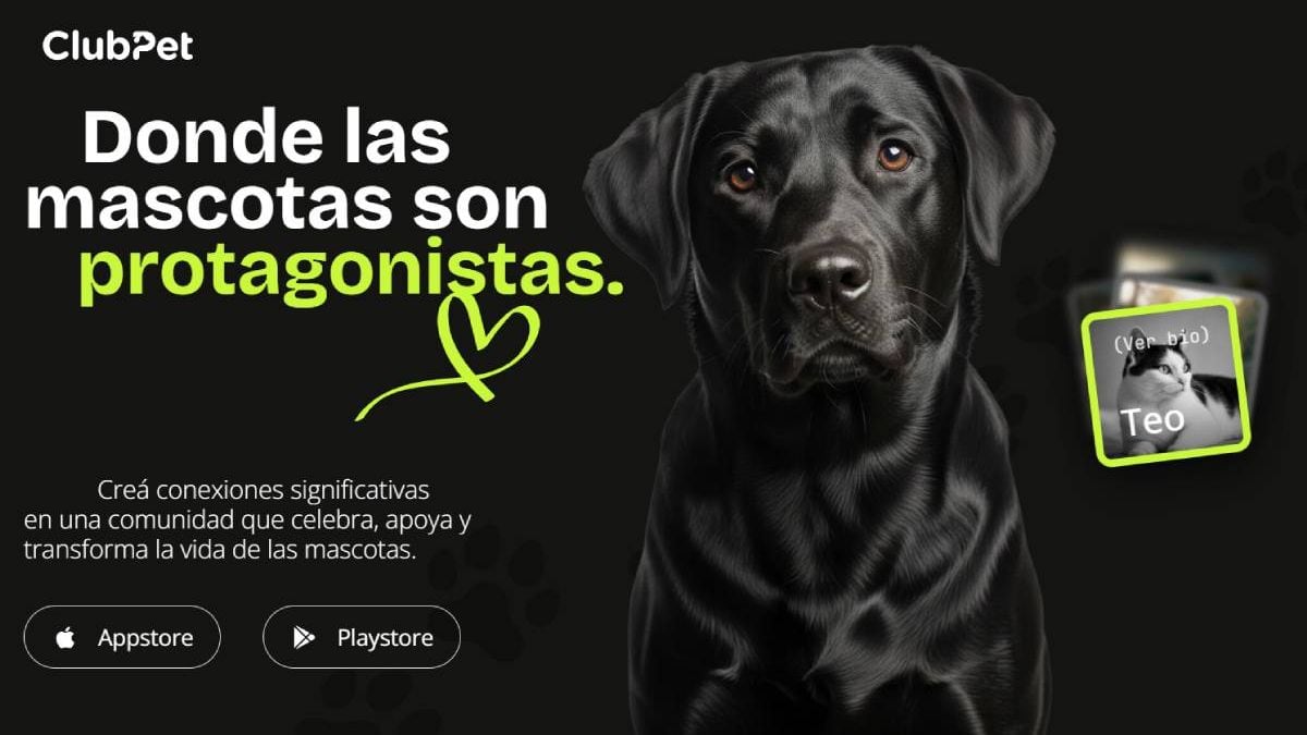 Neuquén abre una jornada de adopción y suma una plataforma integral para el cuidado de mascotas