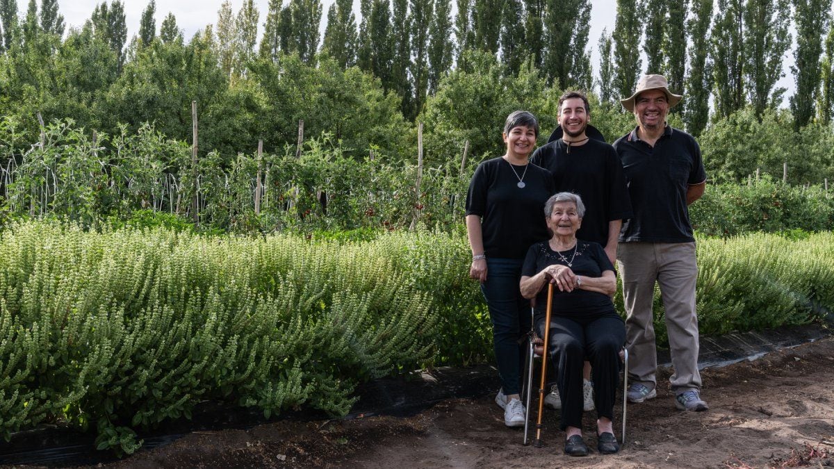 De la libreta de una abuela italiana a una marca de salsa artesanal en Centenario