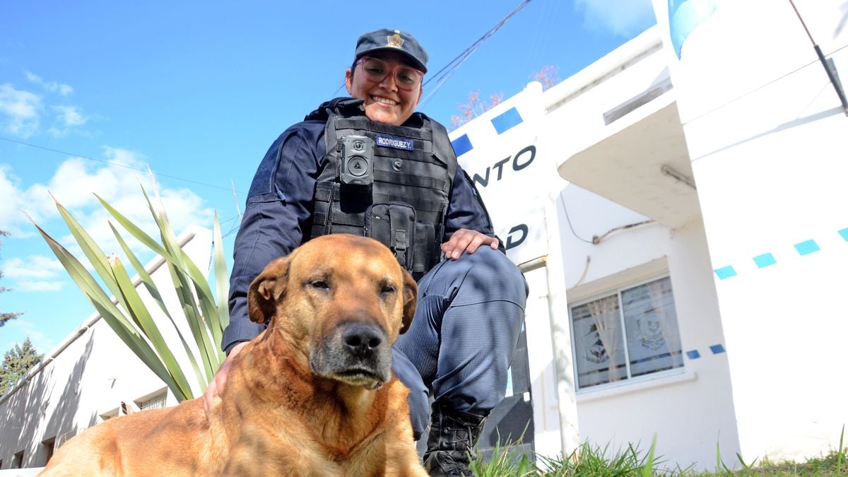 El canino que eligió la bici: Puchero, la sombra perruna de los bicipolicías de Neuquén