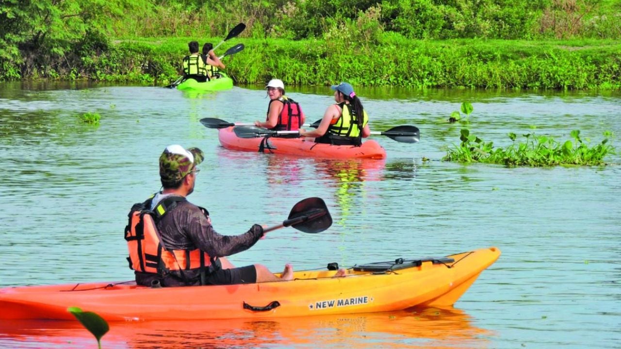 Remar en el litoraleño espejo de Santa Fe: una jornada a bordo de un kayak por la laguna Setúbal
