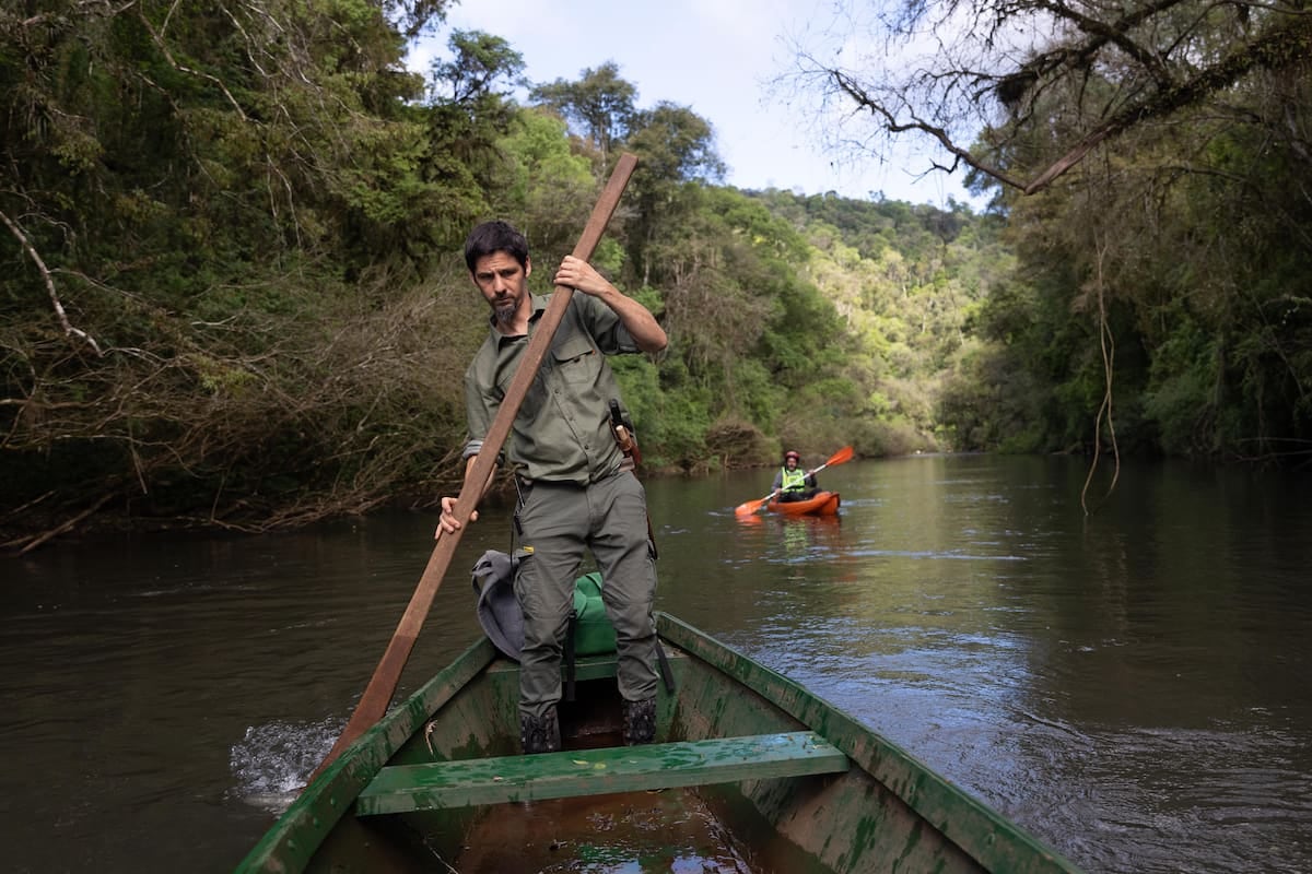 Margay, la reserva de Misiones donde el arroyo se cruza en kayak y la selva se cuida a pulso