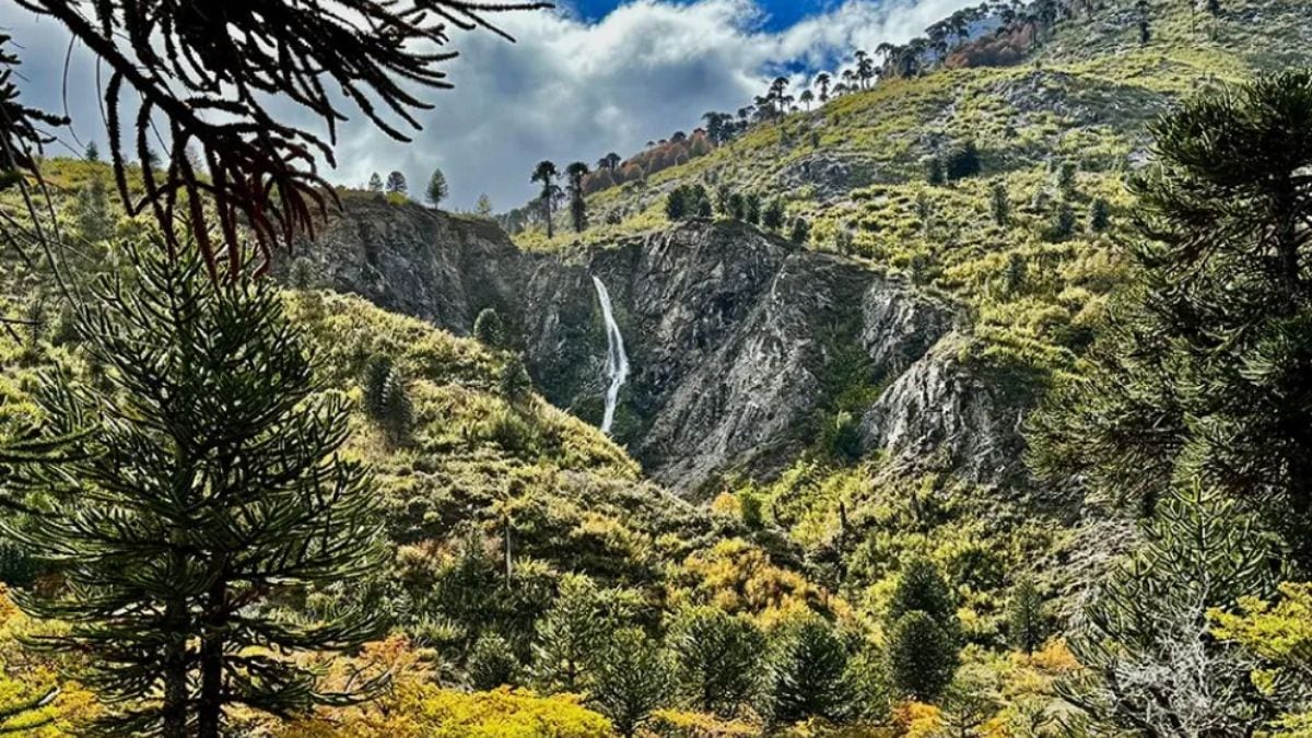 Alerta en Neuquén por ventas fraudulentas de tierras de Pulmarí: recomiendan no entregar dinero ni firmar papeles