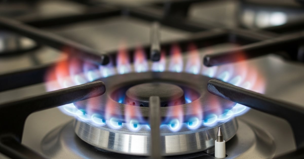 El peso del subsidio en la factura: el AMBA pagó en agosto el doble de luz y un 56% más de gas sin bonificación