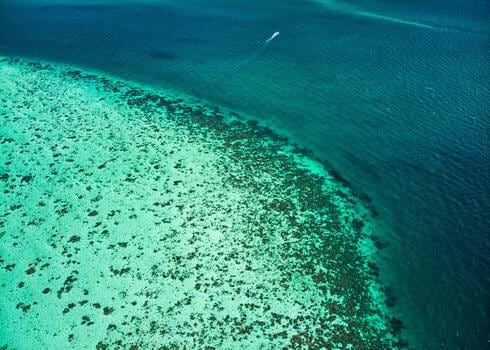San Pedro, la puerta del Caribe beliceño para explorar arrecifes y fauna marina sin grandes traslados