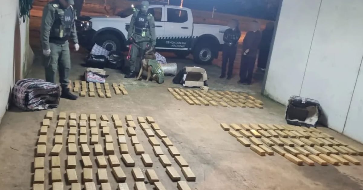 Gendarmería decomisó más de 142 kilos de marihuana en un colectivo que iba de Iguazú a Buenos Aires