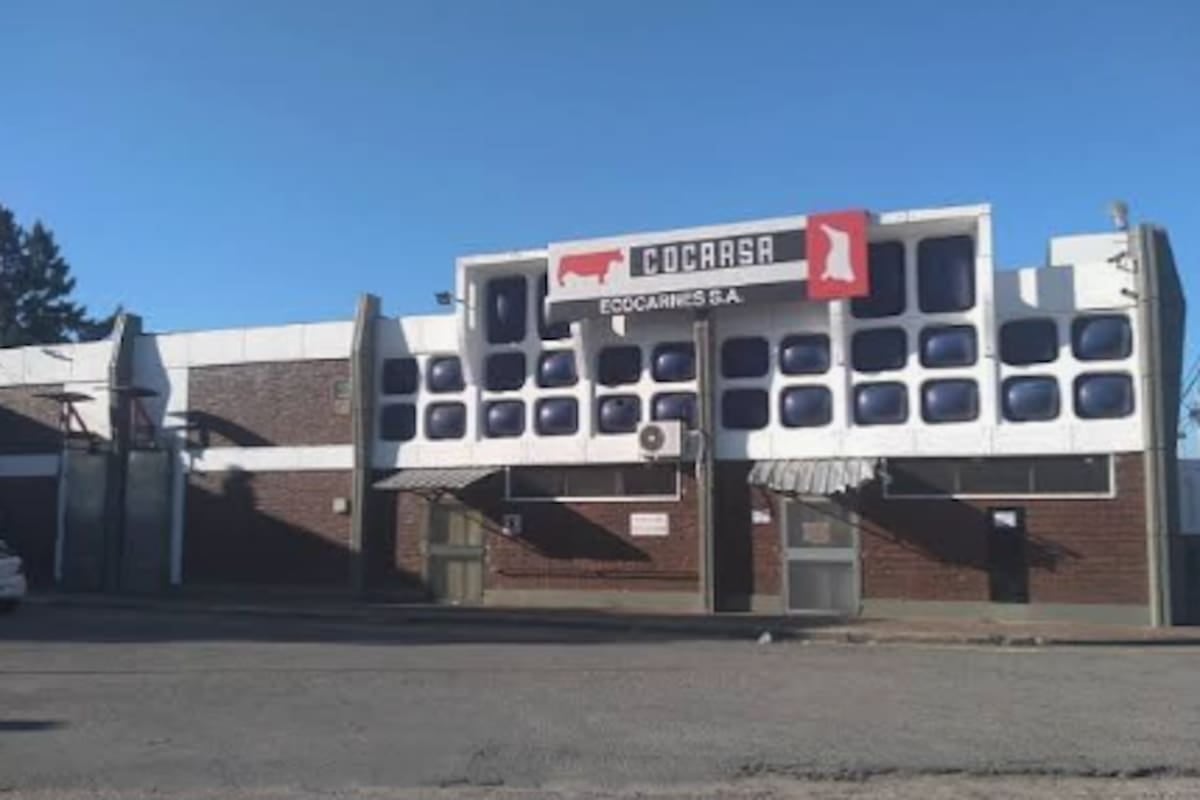 Ecocarnes San Fernando: 232 cheques rechazados por $5866,2 millones y denuncia gremial por la obra social