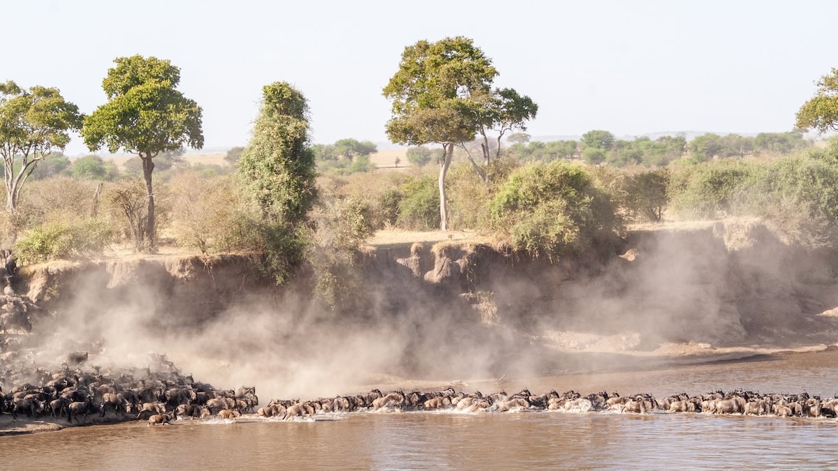Sabana, cráter y salinas: tres días para descifrar el norte de Tanzania