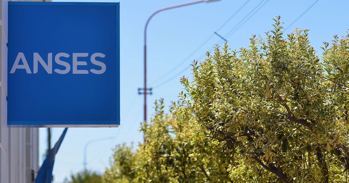 Cronograma de ANSES para octubre: fechas, haberes y bono para DNI terminados en 2