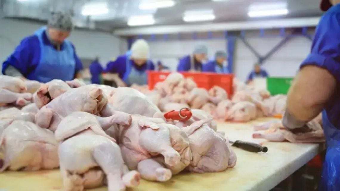 El pollo supera por primera vez a la carne vacuna en el consumo anual de los argentinos