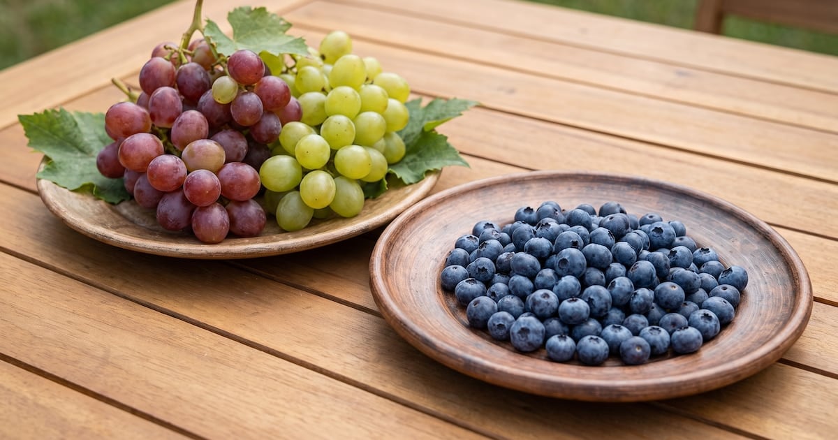 Arándanos o uvas: qué fruta produce un menor impacto en la glucemia y de qué manera incorporarlas a la dieta cotidiana