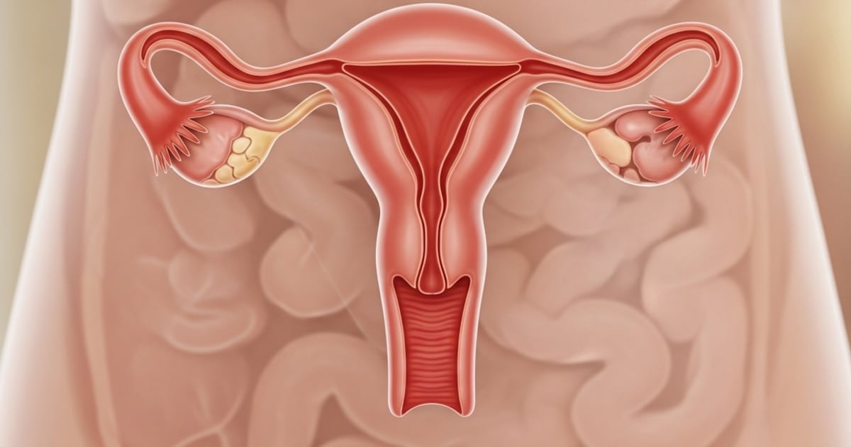 Un estudio sostiene que el ovario conserva actividad biológica décadas después de la menopausia